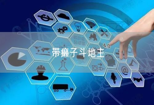 带癞子斗地主