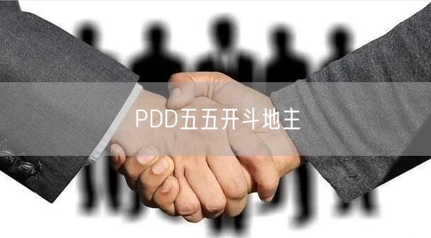 PDD五五开斗地主